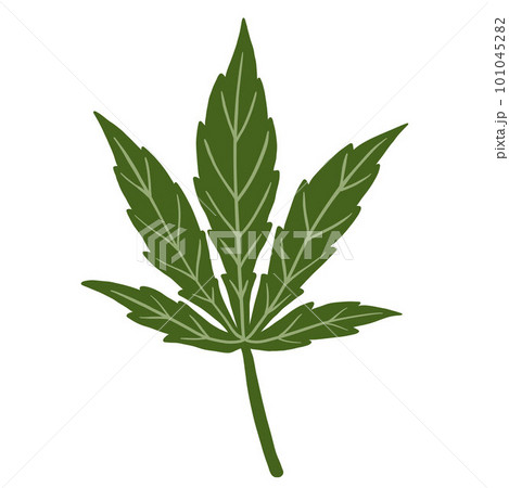 simplicity cannabis leaf freehand drawing flat design. 101045282