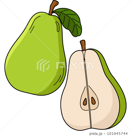 Pear Fruit Cartoon Colored Clipart Illustrationのイラスト素材 [101045744] - PIXTA
