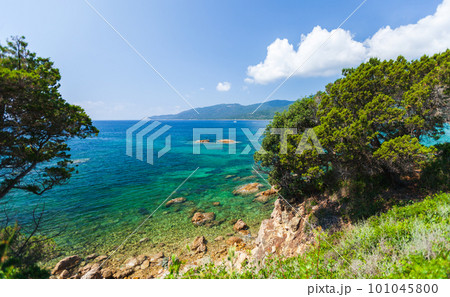 Cupabia beach. Summer landscape of Corsica island on a sunny day Cupabia beach. Summer landscape of Corsica island on a sunny day 101045800