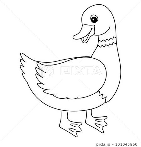 Duck Isolated Coloring Page for Kids 101045860