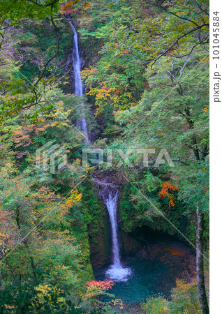【日本の滝百選】大山滝　展望台から見た2011年に崩落する前の風景　鳥取県東伯郡琴浦町 101045884
