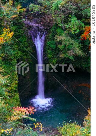 【日本の滝百選】大山滝　展望台から見た2011年に崩落する前の下段の風景　鳥取県東伯郡琴浦町 101045885