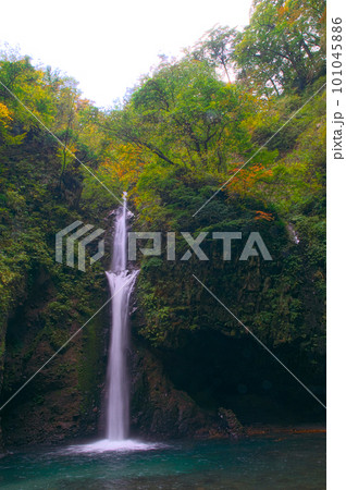 【日本の滝百選】大山滝　2011年に崩落する前の風景1　鳥取県東伯郡琴浦町 101045886