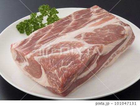 豚肩ロースブロック肉 101047131