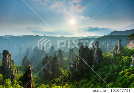 Zhangjiajie National forest park at sunset, Wulingyuan, Hunan, China 101047791