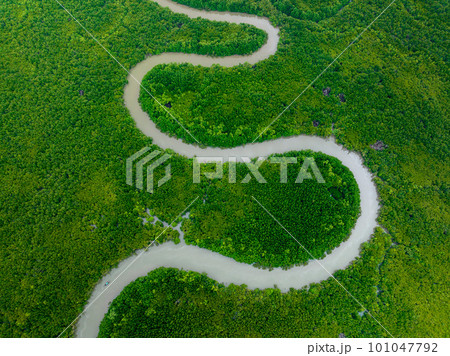 Aerial top down view of Phang Nga bay,  Thailand mangrove forest background texture 101047792