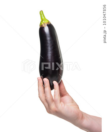eggplant vegetable in hand isolated on white background. organic food eggplant vegetable in hand isolated on white background. organic food 101047856