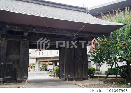 水戸城跡の本丸跡に残る薬医門【茨城県水戸市】 101047993