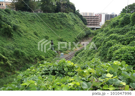 水戸城跡の二の丸と本丸間の大堀切【茨城県水戸市】 101047996