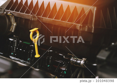 The mechanic is checking the engine oil. The mechanic is checking the engine oil. 101048398