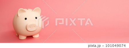 white piggy bank for saving money 101049074