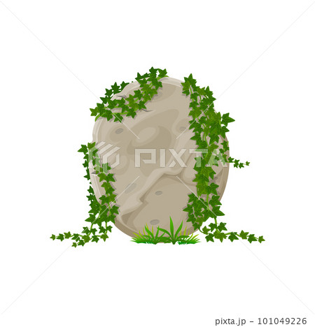 Green tropical foliage on boulder frame with tropical vine, user interface element. Game rock jungle panel, jungle stone sign board with ivy leaves 101049226
