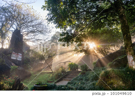 The beauty of Sapa Town in Vietnam 101049610