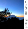 Morning at the top of the mountain. 101049775