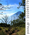 Hiking slope on Mount Sindoro, Indonesia 101049779