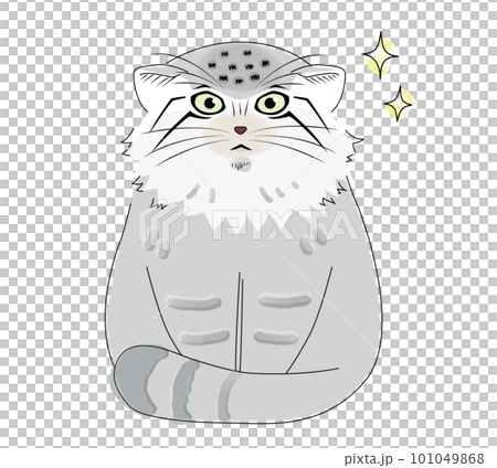 尻尾を体に巻き付けてキリリッと座っているマヌルネコ 尻尾を体に巻き付けてキリリッと座っているマヌルネコ 101049868