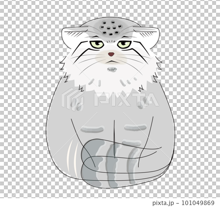 Illustration of a front-facing manul cat protesting by waggling its tail 101049869