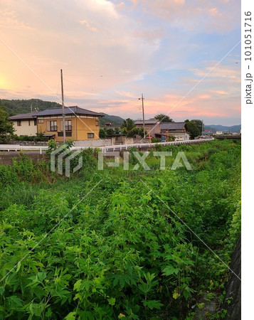 田舎の自然と夕焼け空 101051716