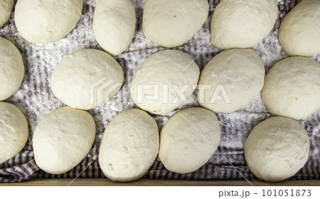 Fresh bread dough in bakery Fresh bread dough in bakery 101051873