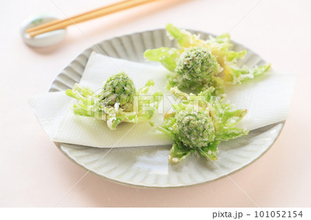 春の料理、ふきのとうの天ぷら 春の料理、ふきのとうの天ぷら 101052154
