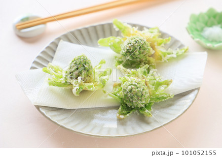 春の料理、ふきのとうの天ぷら 101052155