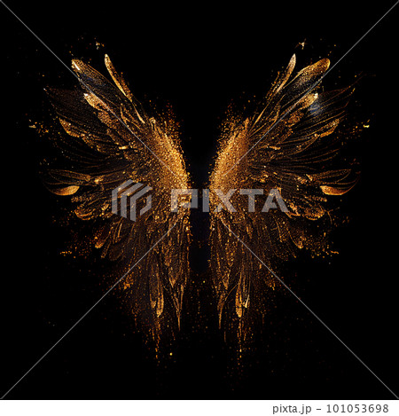 Glitter fairy wings isolated on black background 101053698