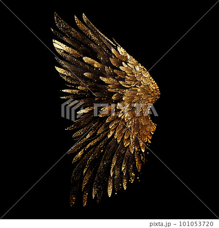 Glitter fairy wings isolated on black background 101053720