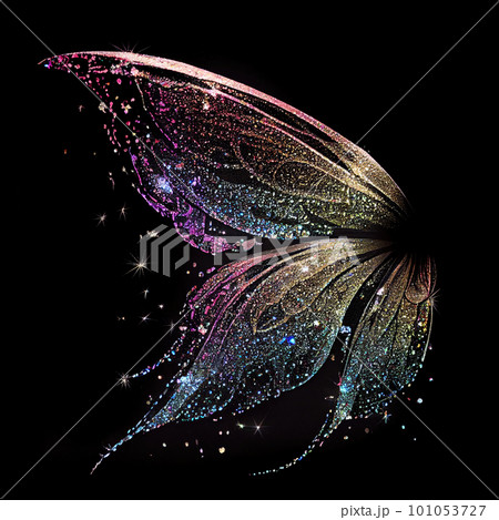 Glitter fairy wings isolated on black background 101053727