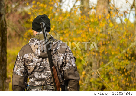 A rear view of a man in camouflage uniform, with a gun on his shoulder and a cartridge, who hunts in the autumn forest. A rear view of a man in camouflage uniform, with a gun on his shoulder and a cartridge, who hunts in the autumn forest. 101054346