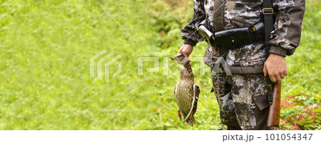 A man in a camouflage uniform with a gun holds a duck in his hands. A man in a camouflage uniform with a gun holds a duck in his hands. 101054347