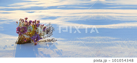 The bouqet of pink birthday flowers on the snow garden in the country 101054348