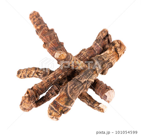 Calamus root isolated on white background. Sweet flag, sway or muskrat root, vasambu. Dry root of Acorus calamus. 101054599