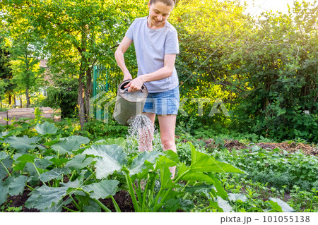 Gardening agriculture concept. Woman gardener farm worker holding watering can and watering irrigating plant. Girl gardening in garden. Home grown organic food. Local garden produce clean vegetables 101055138