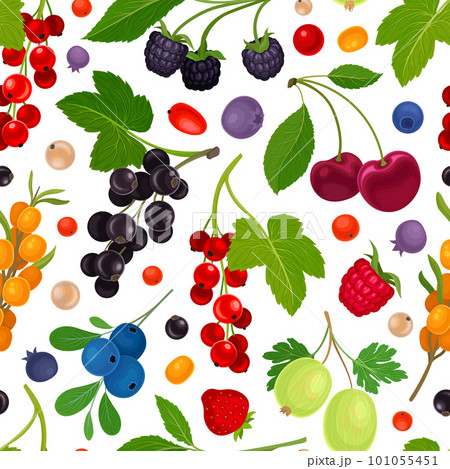 Berry Branch Seamless Pattern Design with Sweet Tasty Garden Crop Vector Template 101055451
