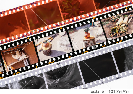35mmフィルムの種類 101056955