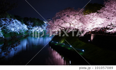 水面に映る夜桜/千鳥ヶ淵 水面に映る夜桜/千鳥ヶ淵 101057089