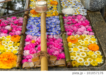 和心　花手水のおもてなし 101057176