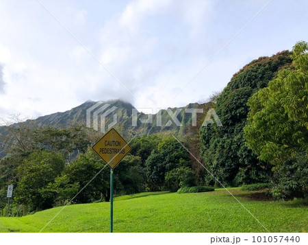 『ハワイ』ホオマルヒア植物園 101057440