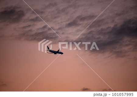 夕空を飛ぶ飛行機 101057995