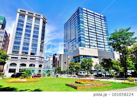 札幌大通公園とビル群 101058224