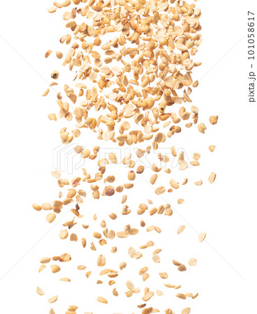 Roasted Peanut bean fall down in group, Roasted Peanut bean float explode, abstract cloud fly. Roasted Peanut beans splash throwing in Air. White background Isolated high speed shutter, freeze motion Roasted Peanut bean fall down in group, Roasted Peanut bean float explode, abstract cloud fly. Roasted Peanut beans splash throwing in Air. White background Isolated high speed shutter, freeze motion 101058617