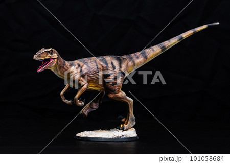 The Velociraptor dinosaur in the dark The Velociraptor dinosaur in the dark 101058684