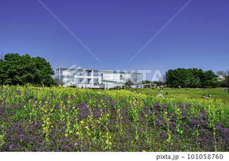 東京都 葛西臨海公園 展望広場 東京都 葛西臨海公園 展望広場 101058760