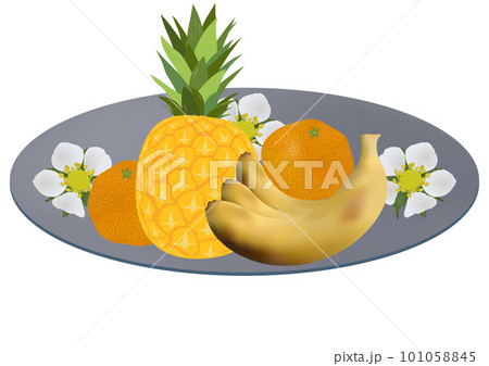 「お皿に盛った果物3種」パイナップル  ミカン  バナナ  グレー皿  花柄 101058845