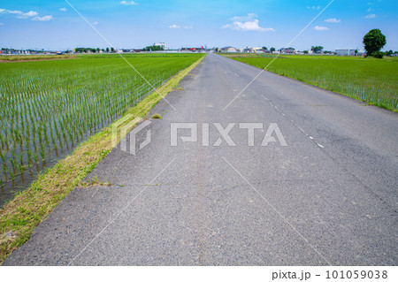 田園風景 道の駅にしかた付近 初夏の季節     田園風景 道の駅にしかた付近 初夏の季節     101059038