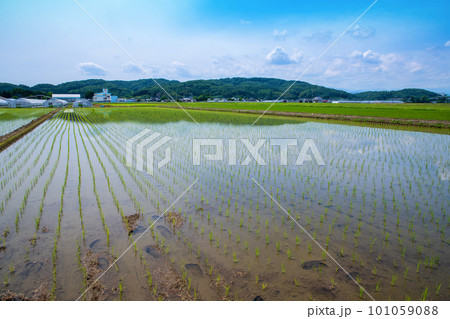 田園風景　道の駅にしかた付近　初夏の季節　　　　 101059088