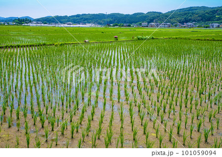 田園風景　道の駅にしかた付近　初夏の季節　　　　 101059094