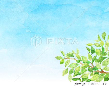 水彩風の新緑と青空をイメージしたイラスト 101059214