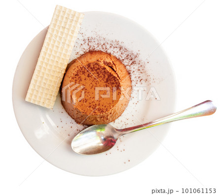 Panna cotta with chocolate served on plate with wafer 101061153