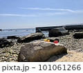 浜辺に置かれたプラスチックゴミ 101061266